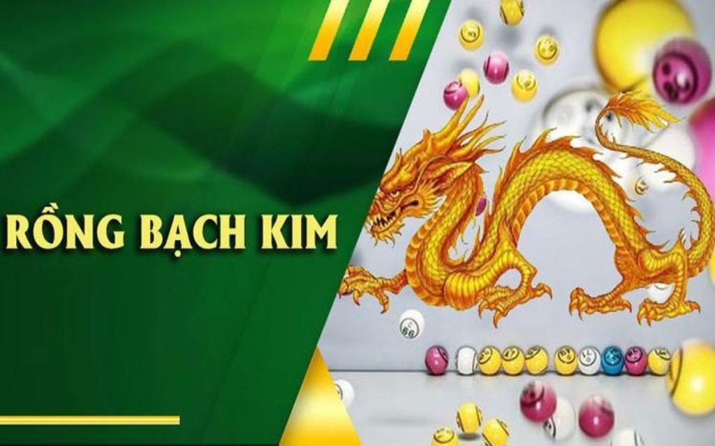 Nuôi dàn đề với rồng bạch kim